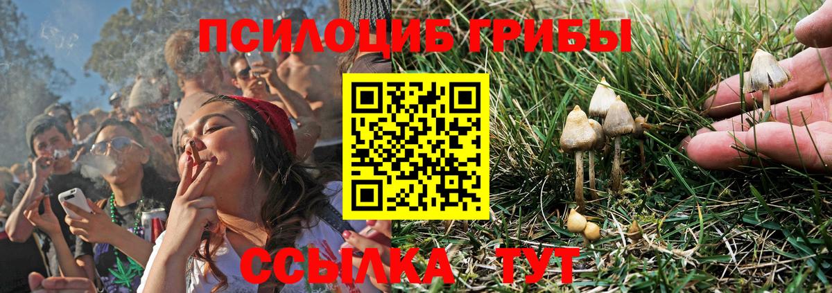 Псилоцибиновые грибы GOLDEN TEACHER Ирбит